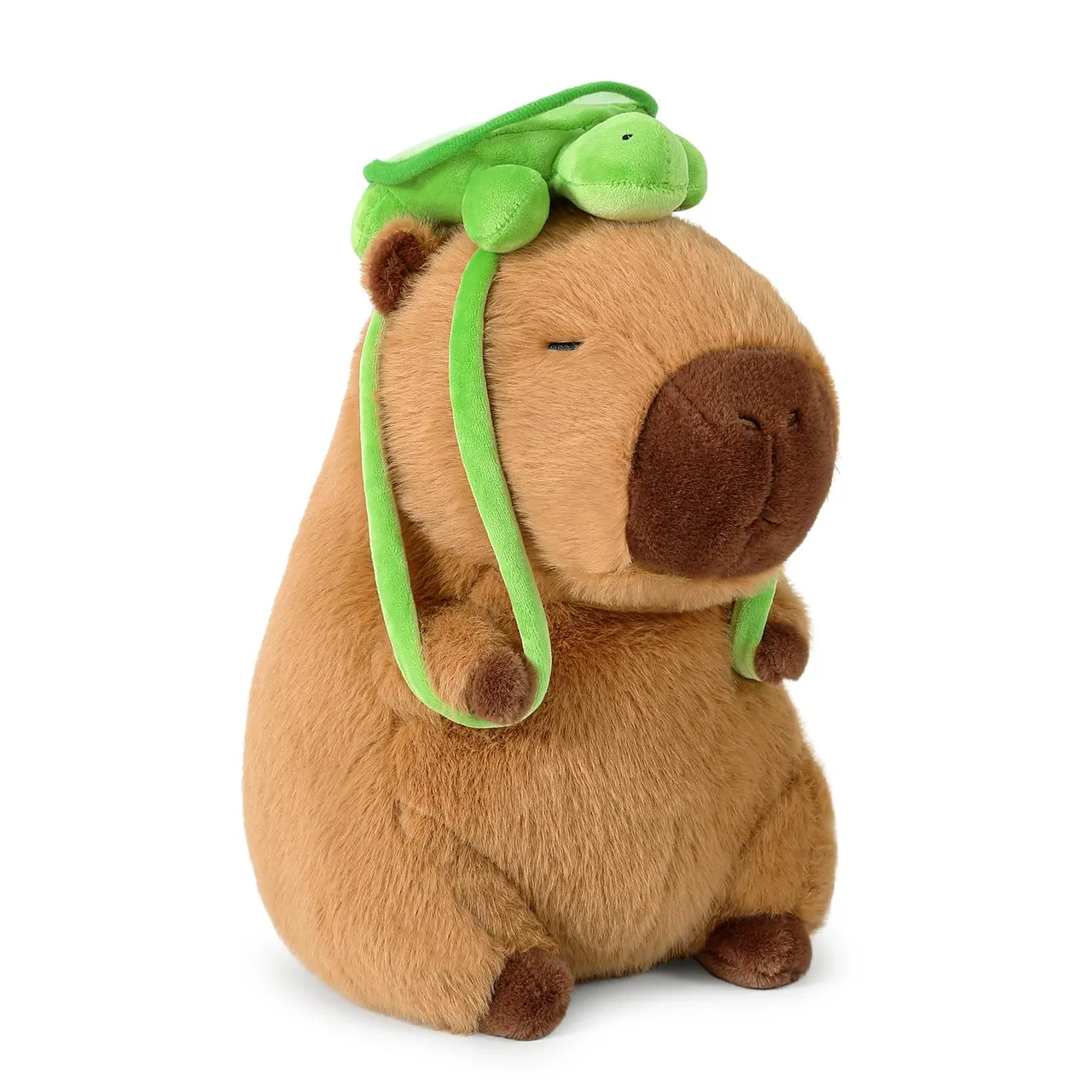 Capybara Wearing A Turtle