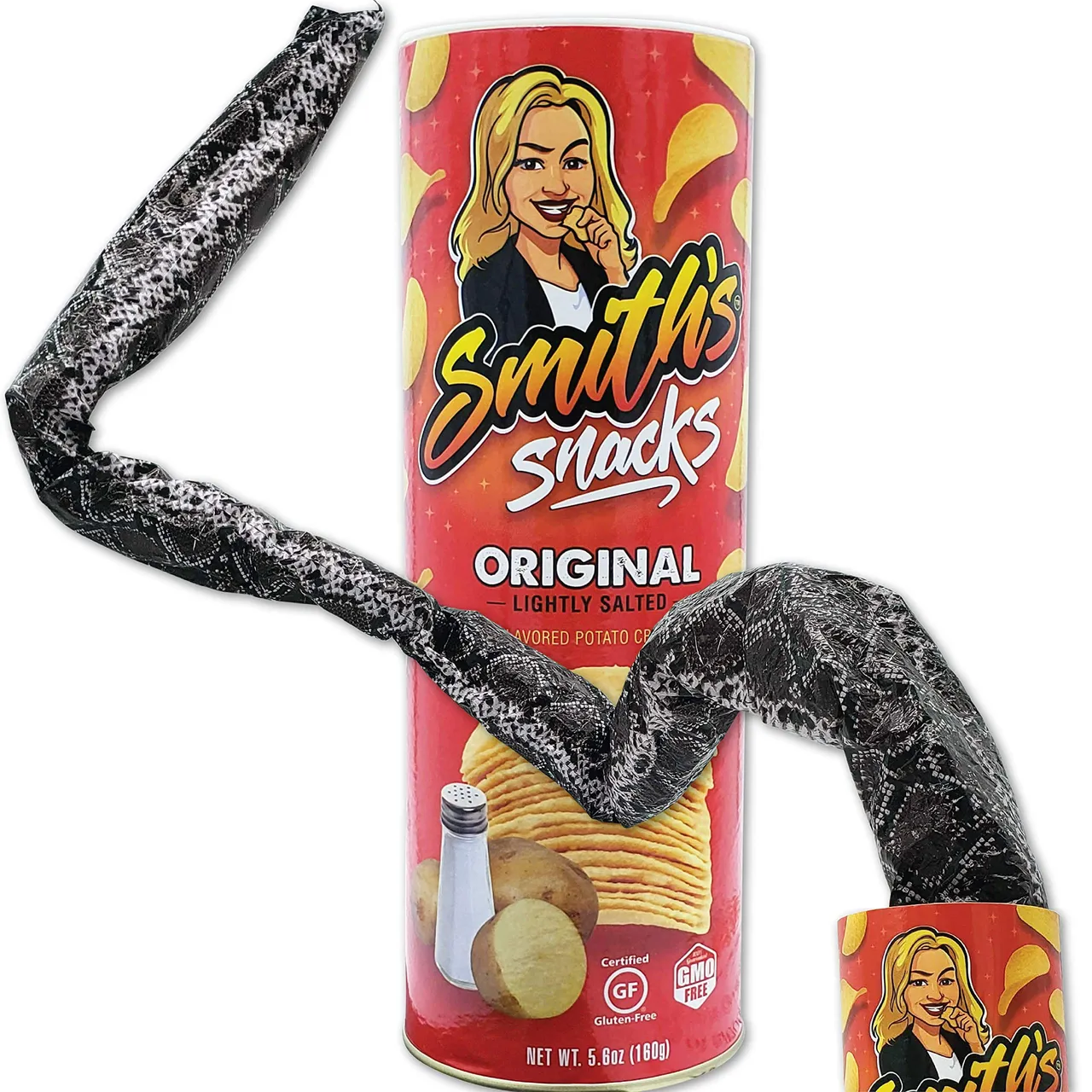 Snake-In-A-Chips-Can Prank