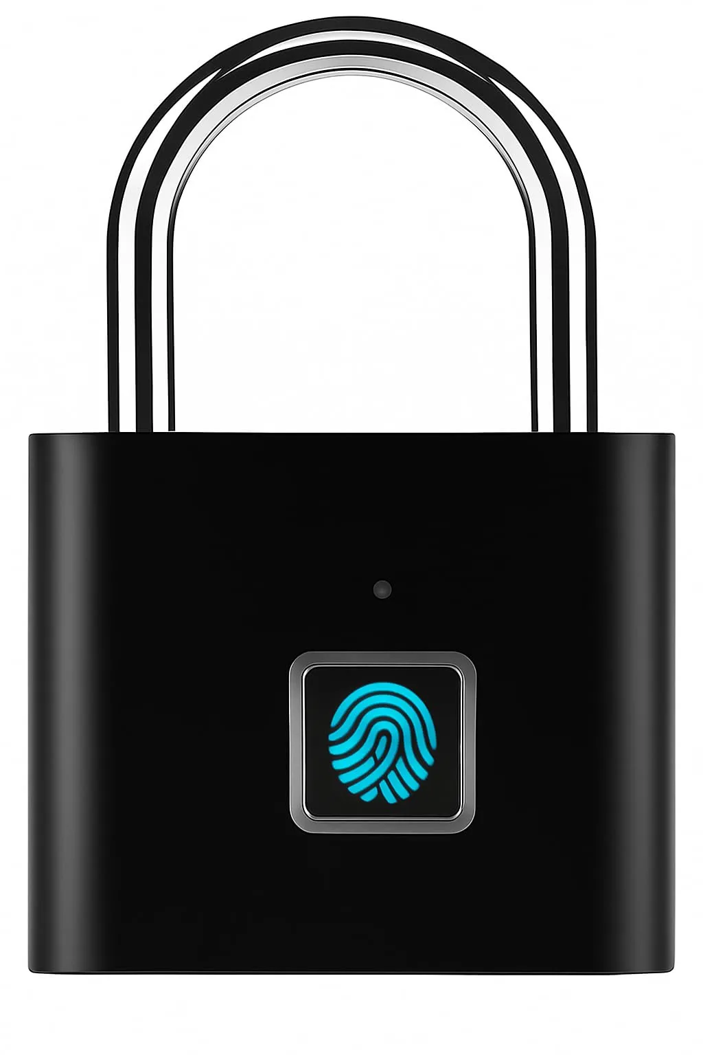 Thumbprint Padlock