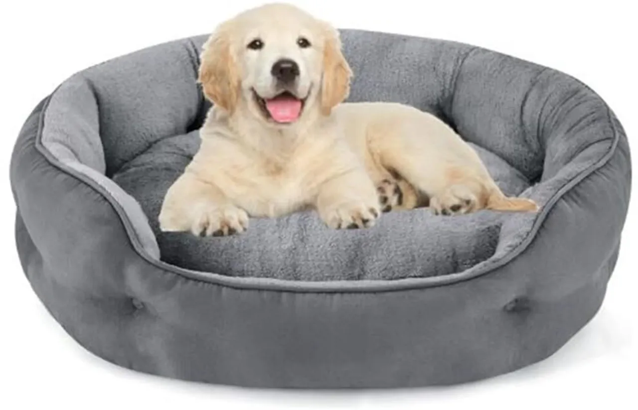Velvet Dog Sofa